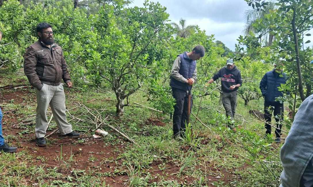 Imagen de Manejo de suelos, eje principal de la capacitación con productores de El Soberbio Imagen de Manejo de suelos, eje principal de la capacitación con productores de El Soberbio