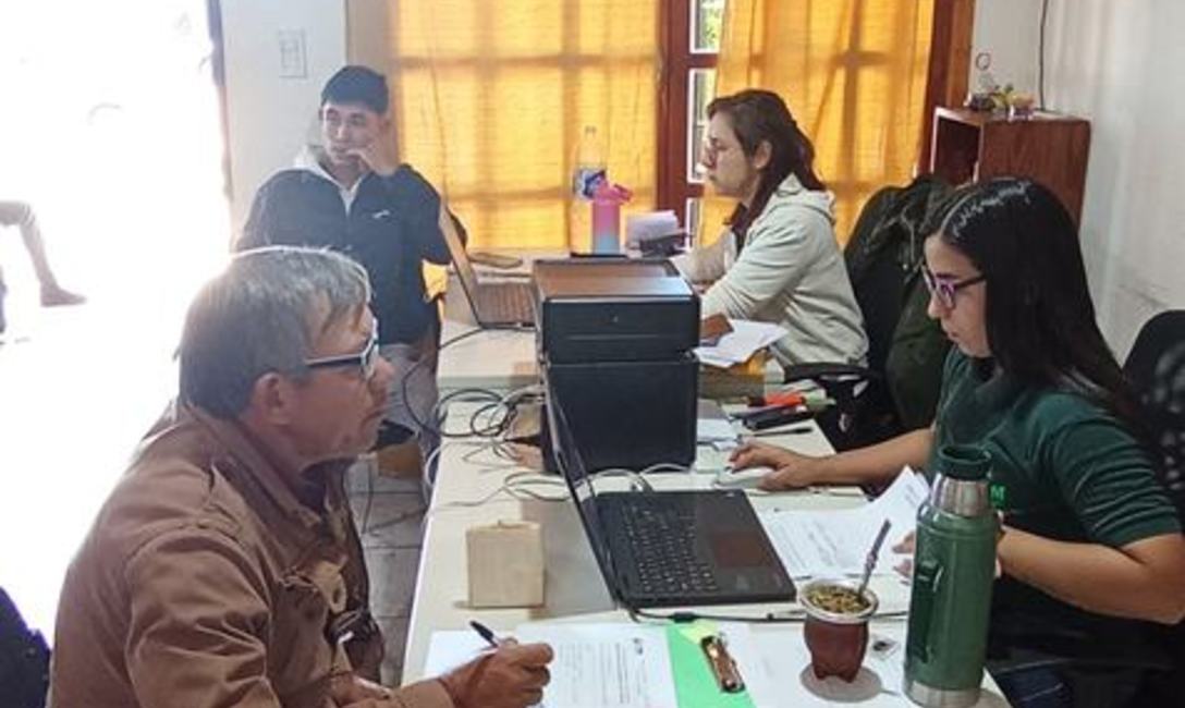 Imagen de Registro de productores y yerbales en San Pedro Imagen de Registro de productores y yerbales en San Pedro