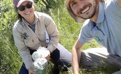 Imagen de El uso del abono natural produce mayor cantidad de materia verde y aumenta la diversidad de la cobertura verde Imagen de El uso del abono natural produce mayor cantidad de materia verde y aumenta la diversidad de la cobertura verde