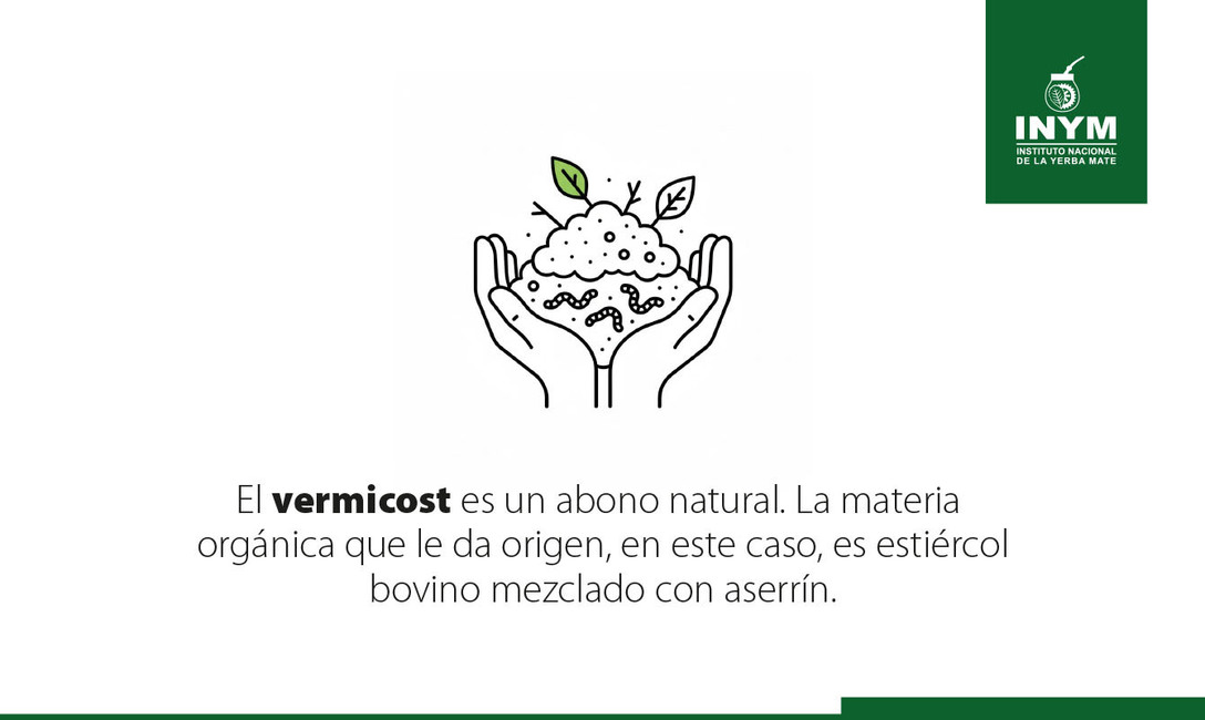 Imagen de El uso del abono natural produce mayor cantidad de materia verde y aumenta la diversidad de la cobertura verde Imagen de El uso del abono natural produce mayor cantidad de materia verde y aumenta la diversidad de la cobertura verde