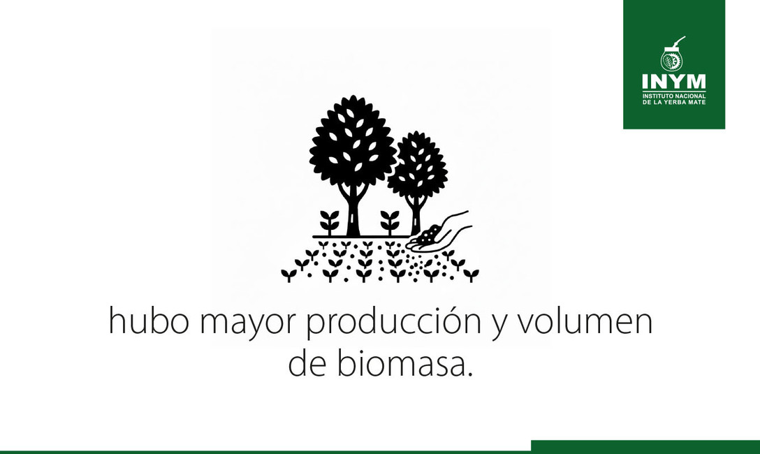 Imagen de El uso del abono natural produce mayor cantidad de materia verde y aumenta la diversidad de la cobertura verde Imagen de El uso del abono natural produce mayor cantidad de materia verde y aumenta la diversidad de la cobertura verde