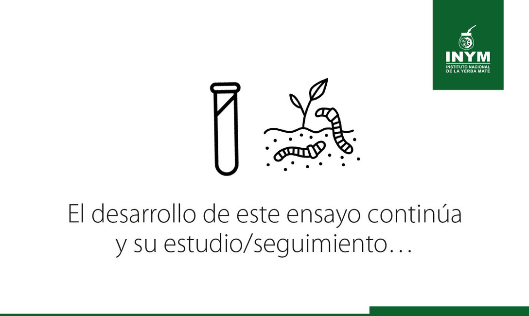 Imagen de El uso del abono natural produce mayor cantidad de materia verde y aumenta la diversidad de la cobertura verde Imagen de El uso del abono natural produce mayor cantidad de materia verde y aumenta la diversidad de la cobertura verde