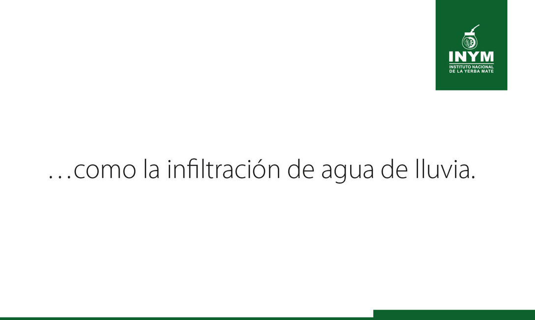 Imagen de El uso del abono natural produce mayor cantidad de materia verde y aumenta la diversidad de la cobertura verde Imagen de El uso del abono natural produce mayor cantidad de materia verde y aumenta la diversidad de la cobertura verde