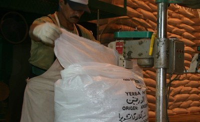 Imagen de Las exportaciones de yerba mate alcanzaron un récord histórico al cierre de octubre Imagen de Las exportaciones de yerba mate alcanzaron un récord histórico al cierre de octubre