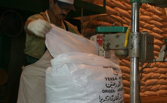 Imagen de Las exportaciones de yerba mate alcanzaron un récord histórico al cierre de octubre