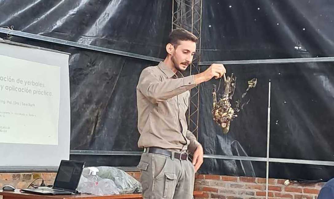 Imagen de Capacitación del SEY sobre plagas y enfermedades en yerba mate con productores de Oberá Imagen de Capacitación del SEY sobre plagas y enfermedades en yerba mate con productores de Oberá