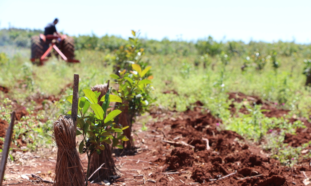 Imagen de El INYM adhiere a los feriados administrativos del 24 y 31 de diciembre Imagen de El INYM adhiere a los feriados administrativos del 24 y 31 de diciembre