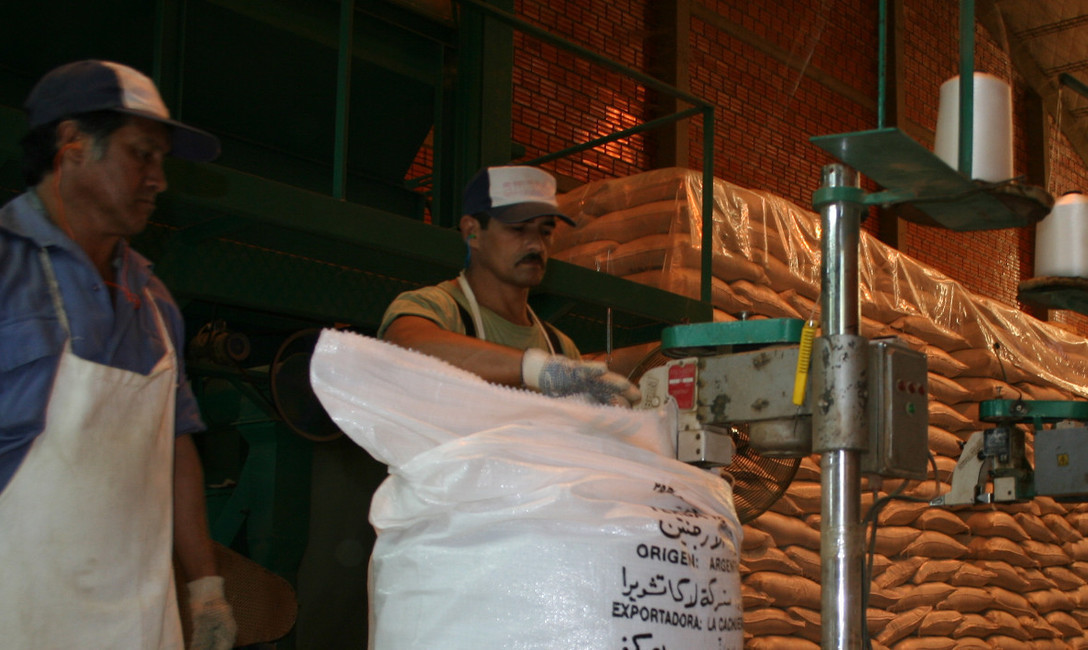 Imagen de Las exportaciones siguen marcando  un r&eacute;cord hist&oacute;rico y el mercado interno contin&uacute;a en franca recuperaci&oacute;n