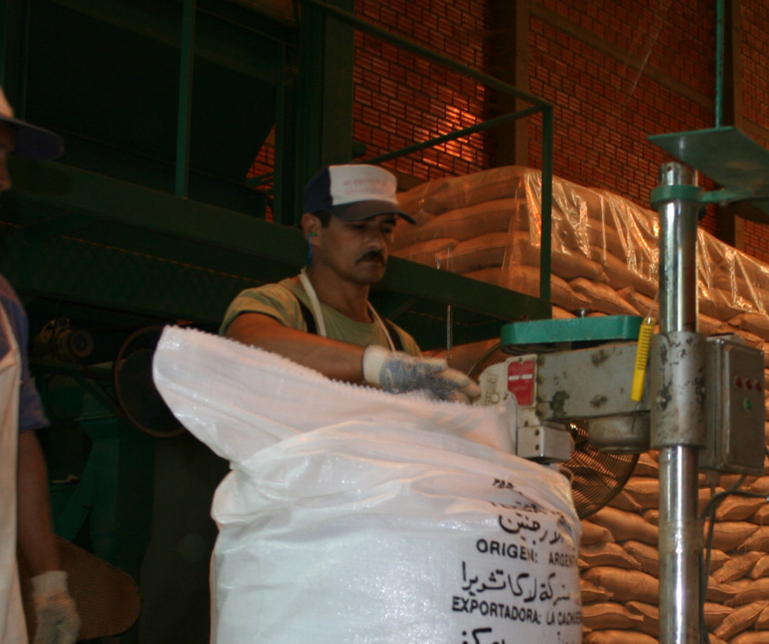 Imagen de Las exportaciones siguen marcando  un r&eacute;cord hist&oacute;rico y el mercado interno contin&uacute;a en franca recuperaci&oacute;n