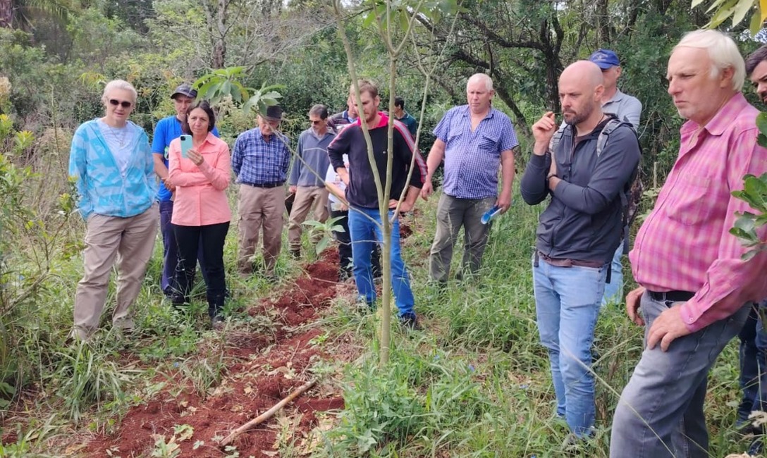 Imagen de Jornada de capacitación y acompañamiento técnico junto a productores de Los Helechos y colonias vecinas Imagen de Jornada de capacitación y acompañamiento técnico junto a productores de Los Helechos y colonias vecinas