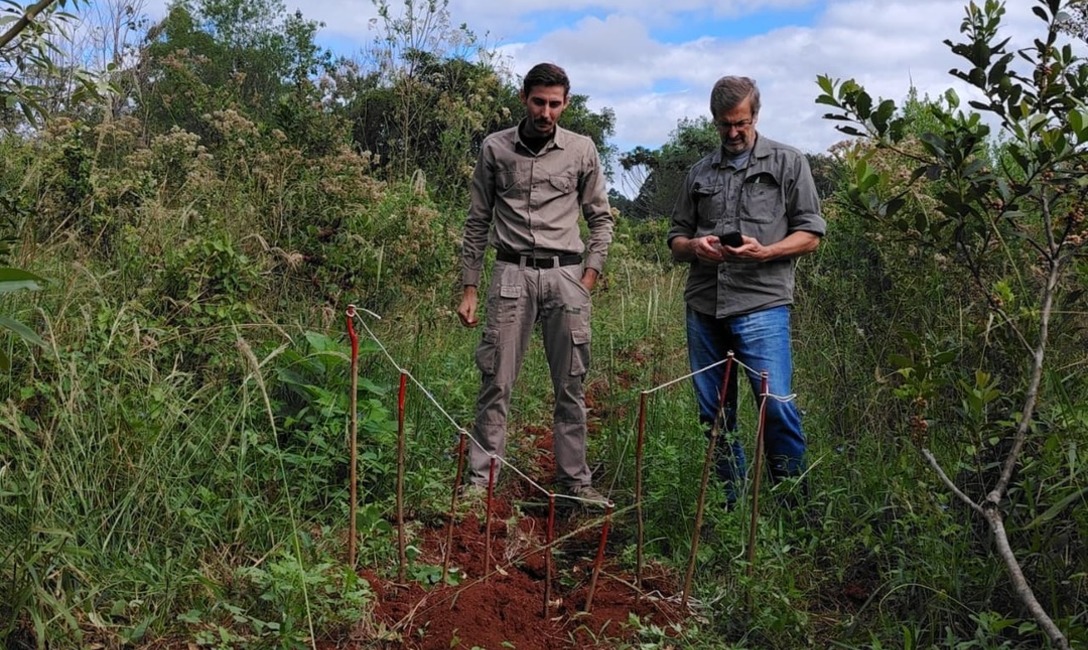 Imagen de Jornada de capacitación y acompañamiento técnico junto a productores de Los Helechos y colonias vecinas Imagen de Jornada de capacitación y acompañamiento técnico junto a productores de Los Helechos y colonias vecinas