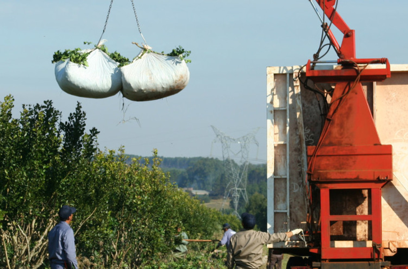 Los guinches facilitan la carga de raidos