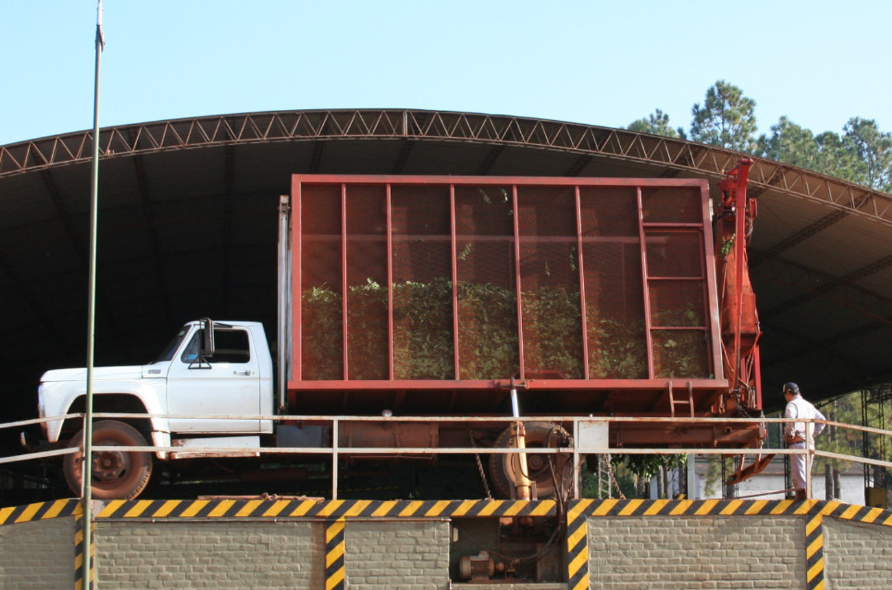 Camiones adaptados para el transporte de hoja verde